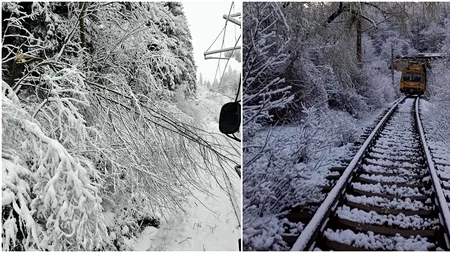 Traficul feroviar, afectat de ninsori şi vânt. Copaci căzuţi pe linii