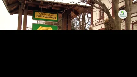 Jaf în Dorna Cândrenilor! Înscenare asupra unui inginer silvic care face dezvăluiri șocante