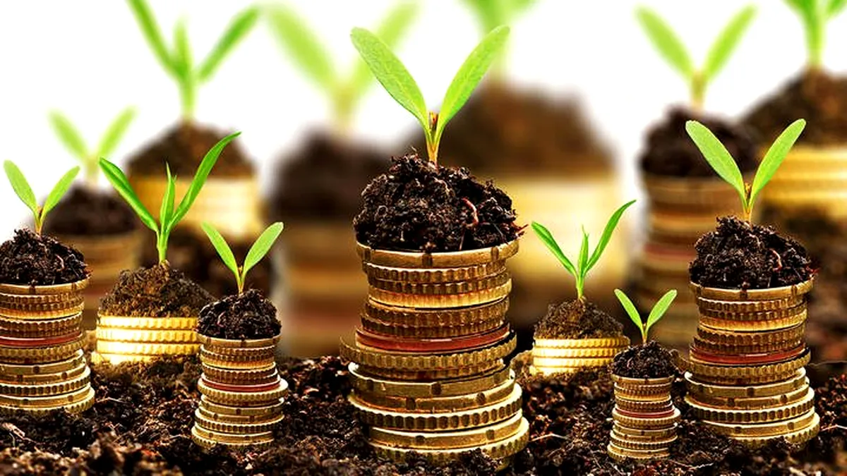 Investițiile în economia României, 3,230 miliarde euro, în primele patru luni din 2024