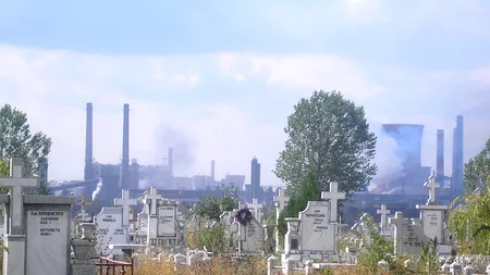 Studiu: Mai mult de jumătate dintre companiile locale au planuri de reducere a emisiilor de carbon