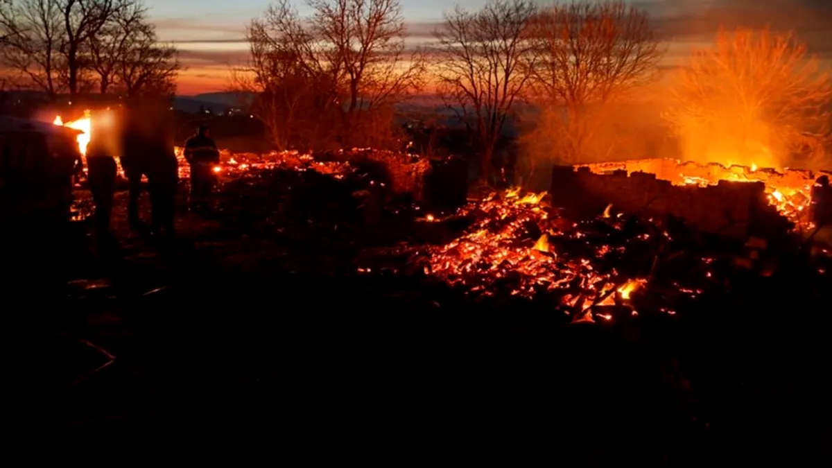 Peste o sută hectare de vegetație uscată, mistuite de flăcări, în județul Constanța