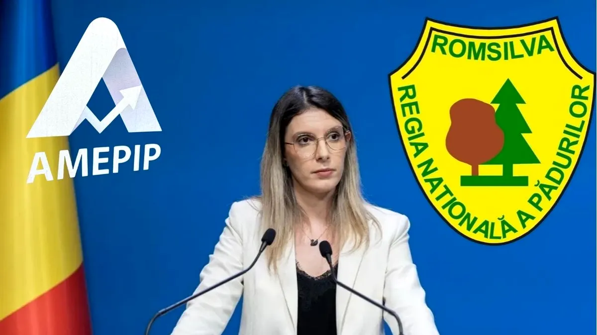 Șefa AMEPIP, Anișoara Ulcelușe, ar putea stopa numirea ilegală a directorului general de la Romsilva, dar...se mai gândește