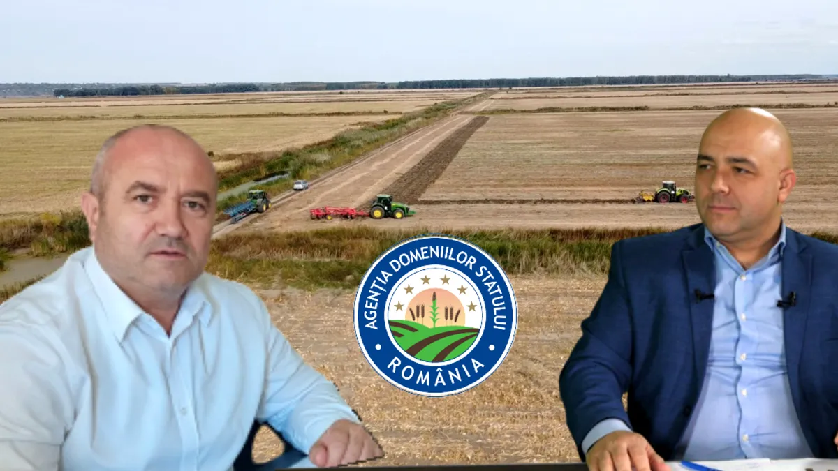 Șeful ADS, Florin Nicolae, părtaș la aranjamentul mafiot al lui George Sava de la Băneasa-Giurgiu