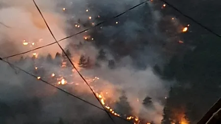 Tulcea: Au ars 400 de hectare de mirişte şi 600 baloţi de paie; cauza - foc folosit intenţionat