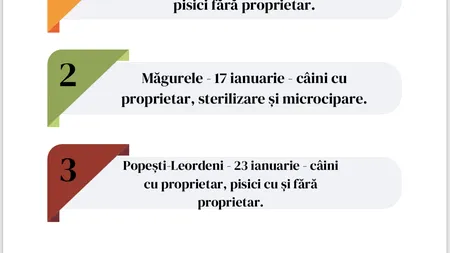 Sterilizare gratuită în Ilfov pentru cățeii și pisicii cu și fără stăpân; care este calendarul