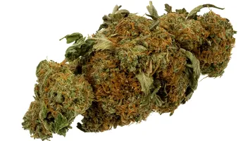 Nou studiu îngrijorător al oamenilor de știință. Marijuana dublează riscul de deces cardiovascular