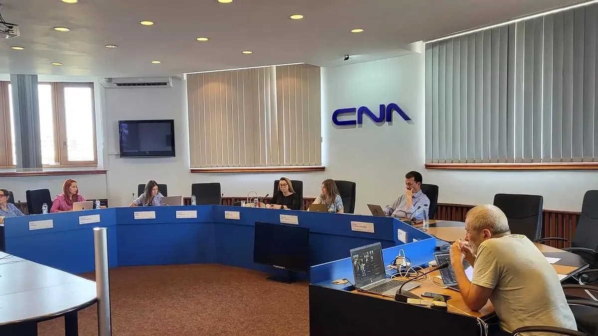 CNA a votat retragerea licenței Realitatea Plus: ce înseamnă decizia și care sunt pașii următori