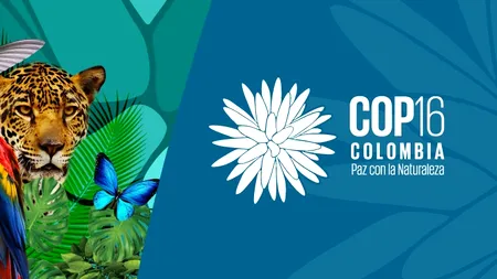 ONU caută banii pentru restaurarea biodiversității naturale: dileme și soluții la Summitul COP16