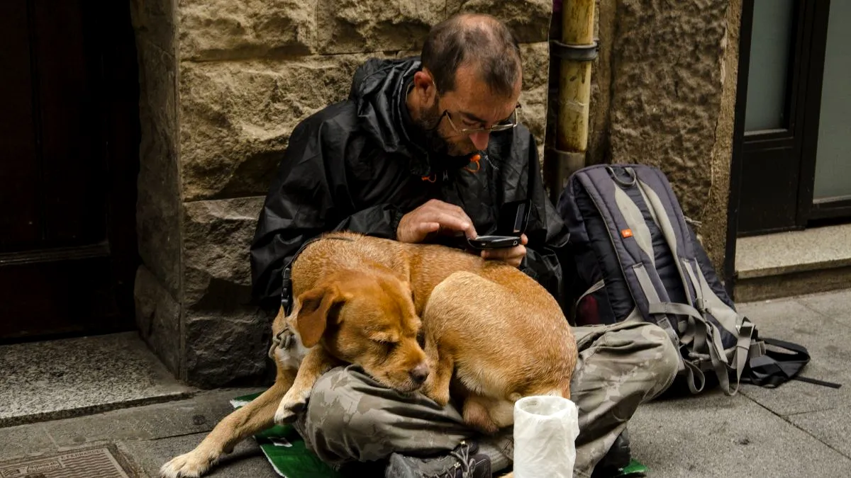 Românii, pe locul al doilea în Germania printre persoanele fără adăpost