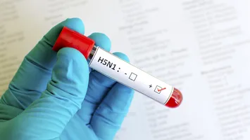 Gripa aviară: Situația devine alarmantă în Asia-Pacific, avertizează ONU