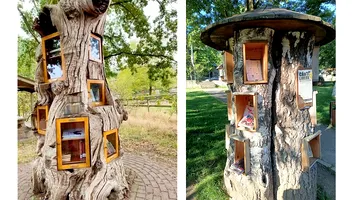 Biblioteca din copac: noul trend a ajuns și în țara noastră
