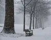 ANM anunță când se încheie episodul de iarnă. Ninsori și ploi în a doua zi din martie
