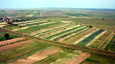 Unde se află cel mai scump teren agricol din România. Diferențe mari între Zona Capitalei și Moldova