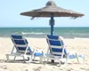 O plajă din România își așteaptă turiștii cu palmieri și alte noutăți. Puțini își imaginează locul în care se află