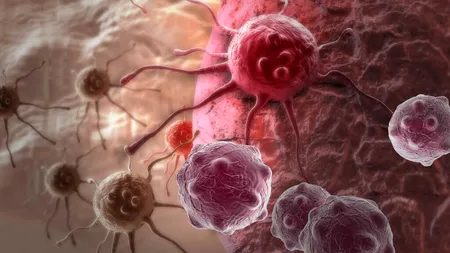 Un medicament cu efecte pozitive în zece tipuri de cancer a fost autorizat de FDA