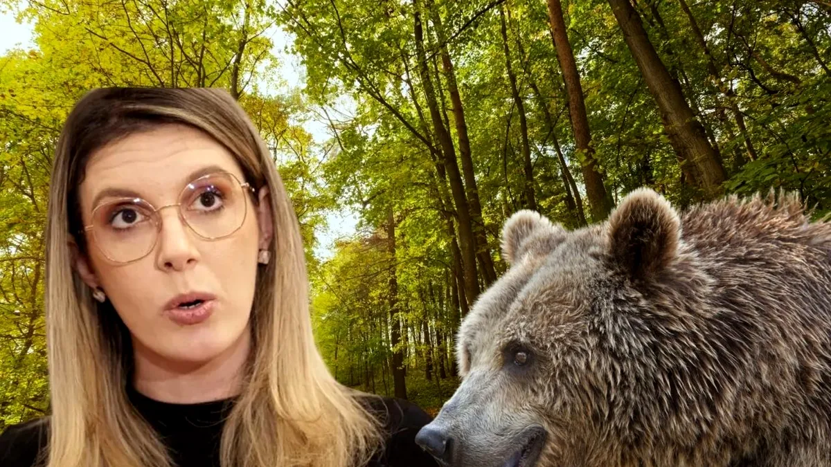 Jaf uriaș la Mediu. Diana Buzoianu livrează garduri electrice împotriva urșilor, la prețuri de șase ori mai mari