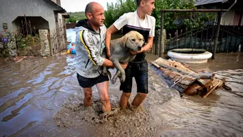 ANSVSA: Peste 2200 de animale şi 6200 de păsări au murit în urma inundaţiilor