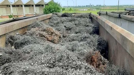 Captură la vama Girugiu: Trei autocamioane încărcate cu peste 64 de tone deşeuri din pilitură de fier au fost oprite