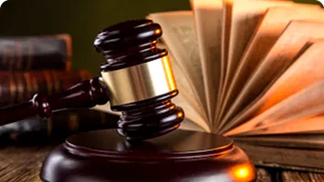 AUR a contestat bugetul la CCR: o instituție hulită la microfon și folosită metodic la procedură