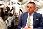 Cadoul de Paște al șefului ANSVSA, Alexandru Bociu, pentru fermieri: Comisia Europeană a interzis, până la 30 septembrie, României exportul de oi și capre