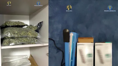 Cocaina, noul „lux” al Capitalei. Prețul s-a umflat la 1.000 de lei gramul. Rețea distrusă de DIICOT