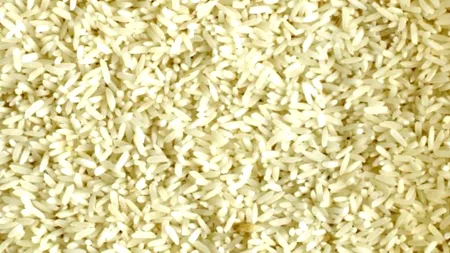 Uniunea Europeană: După muștar, se profilează o penurie de orez
