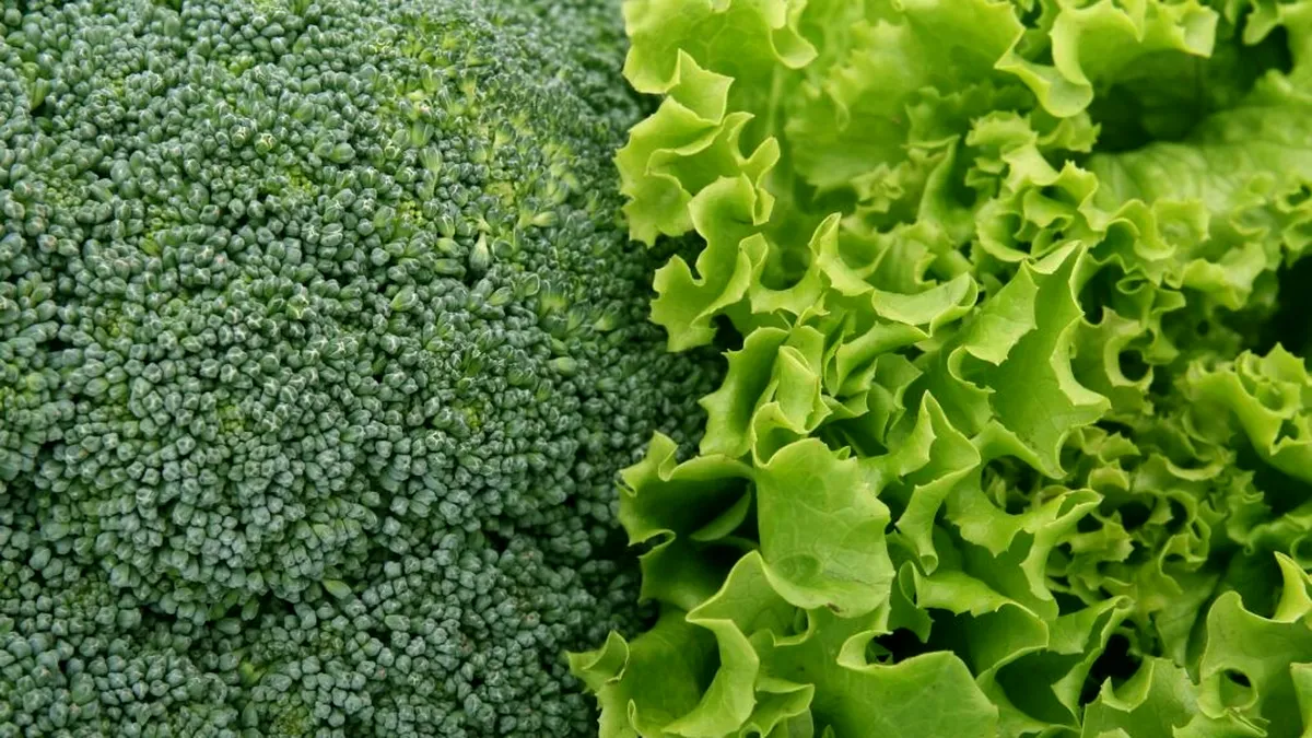 Broccoli, varză... o soluție naturală contra SARS-COV-2!