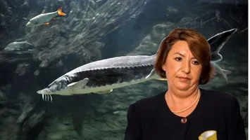 Decont pentru fostul ministru al Mediului, Sulfina Barbu: România a pierdut 60.000.000 de euro și trebuie să plătească despăgubiri de 300.000 de euro pentru pescarii din Delta Dunării