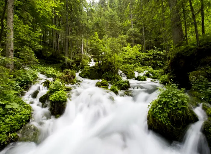 Foto: Daniel Novotny / Wiener Wasser / wien.info