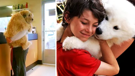 Omenirea, încotro? O firmă le-a recomandat clienţilor să  ia în brațe animalele de companie ca să se încălzească!