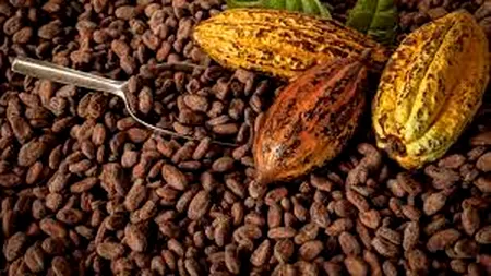 Într-o lume de cacao, crește prețul la cacao!