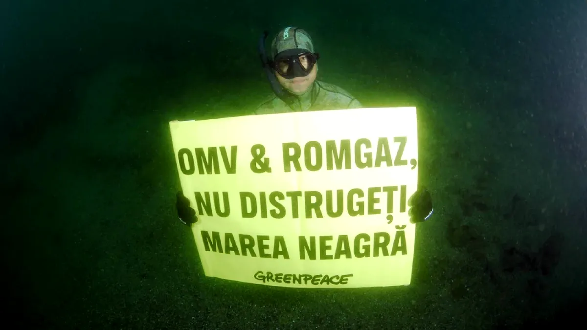 Romgaz, compania statului, cere dizolvarea Greenpeace România