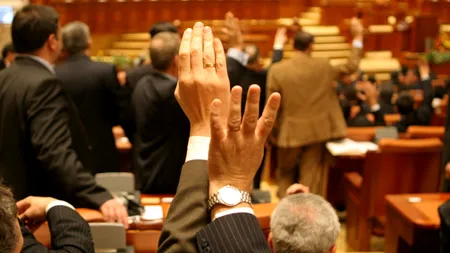 Senatorii au decis: fără haine de blană naturală în România!