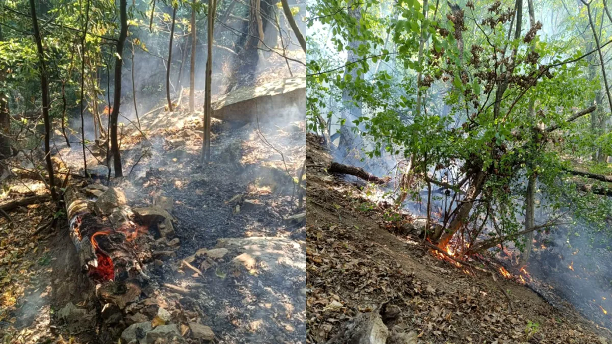 Incendiu devastator pe Defileul Jiului. Ard peste 10.000 de metri pătraţi de pădure