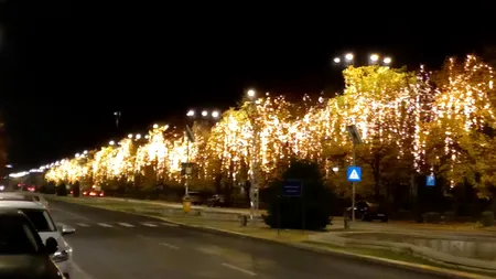 În plină criză energetică, Nicușor Dan atârnă luminițele de Crăciun pe stâlpi și prin copaci