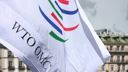 OMC ar putea avea dificultăți în alegerea unui lider