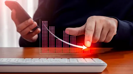 Cifra de afaceri din serviciile de piaţă prestate populaţiei a scăzut, în noiembrie 2024