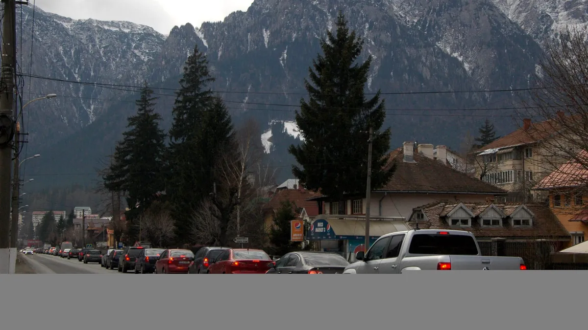 Restricții de trafic pe Valea Prahovei timp de mai bine de o lună. Se taie copacii uscați