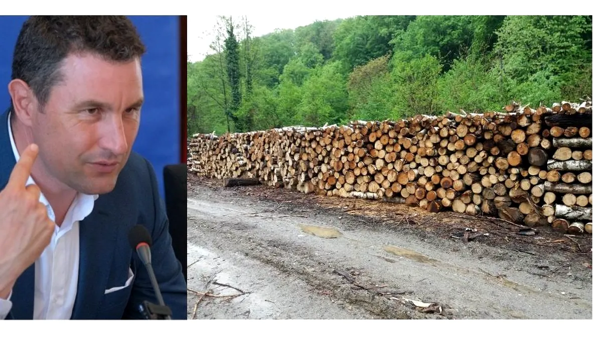 Cum a aruncat Barna Tanczos în aer prețul lemnului de la Romsilva într-un an de zile