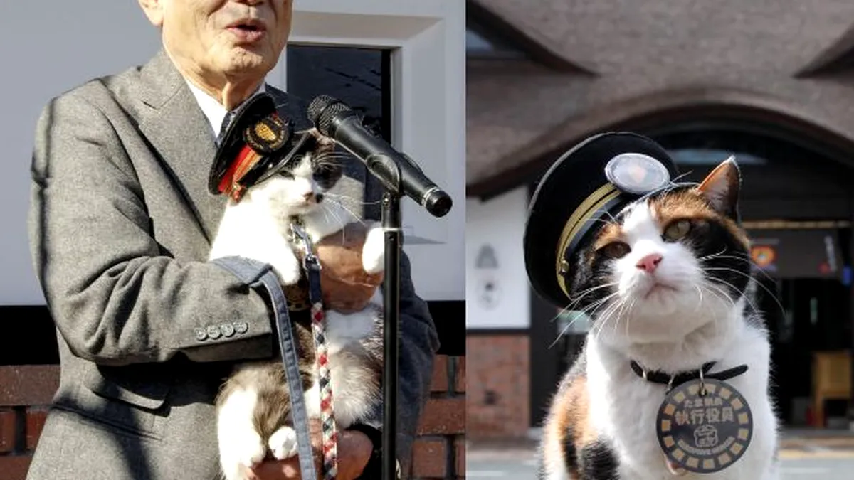 Japonia are un nou șef de gară: pisica Yontama