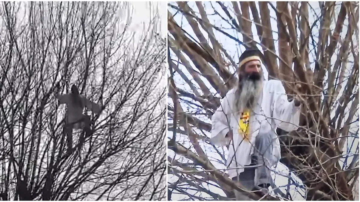 Continuă circul la Arestul Central. Stegarul Dac e de peste 20 de ore într-un pom (VIDEO)