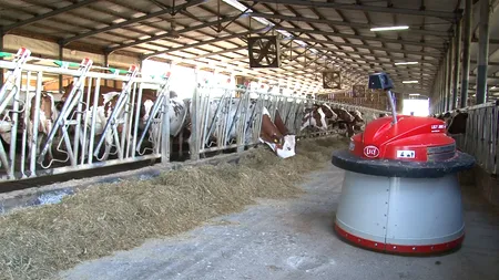 Studiu. Fermele de bovine, depozitele de cereale și serele atrag cele mai mari investiții din agribusiness