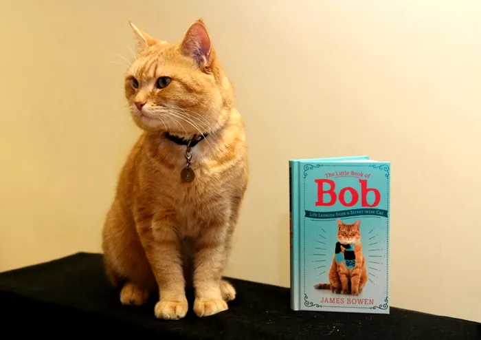 Bob și una dintre cărți despre el