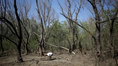 Fragmente de dronă rusească, găsite în Tulcea. MApN: A fost semnalată o altă posibilă zonă de impact