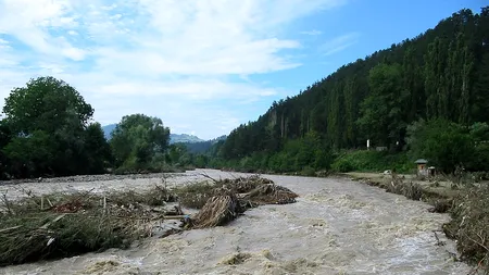 Urgie în județul Prahova: mașini luate de viitură