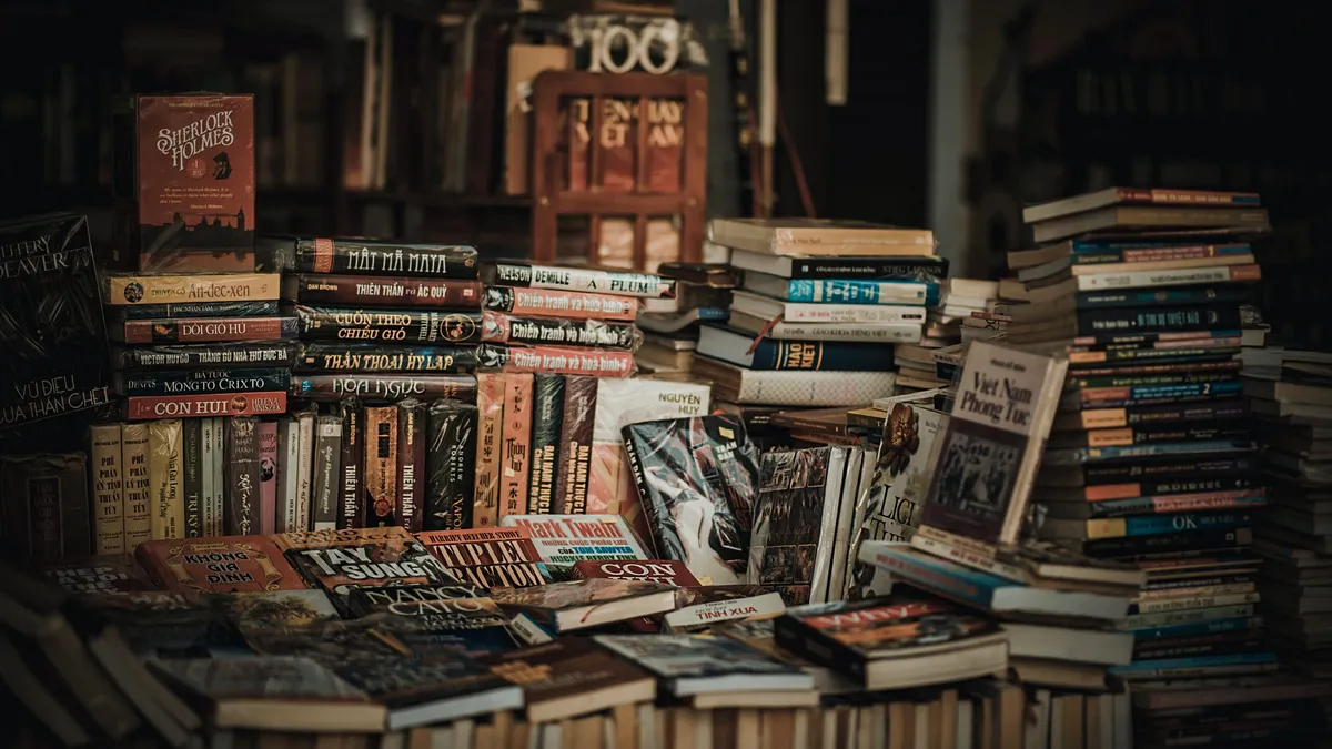 Programul de digitalizare al bibliotecilor din mediul rural este un eșec
