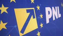 Decizie în PNL: 13 filiale rămân fără conduceri interimare și intră în reorganizare
