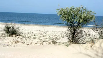 Plajele nou-înnisipate de pe litoral intră în regim special: Senatul adoptă tacit legea care schimbă regulile de închiriere
