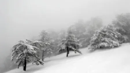 Vreme extremă în România. Cod roșu de vânt în mai multe județe, viscol și vizibilitate redusă drastic în munți
