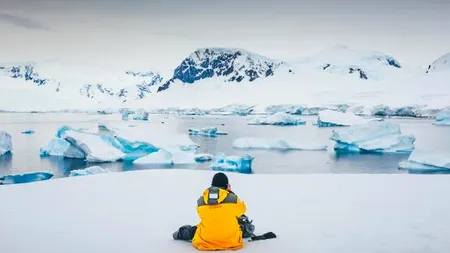 Micile vietăţi marine din Antarctica, care trăiesc în întuneric total